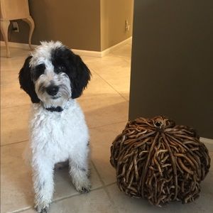 Meet your Posher, Courtney